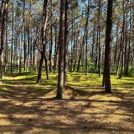 Appartement Rentplanet - Shellter *