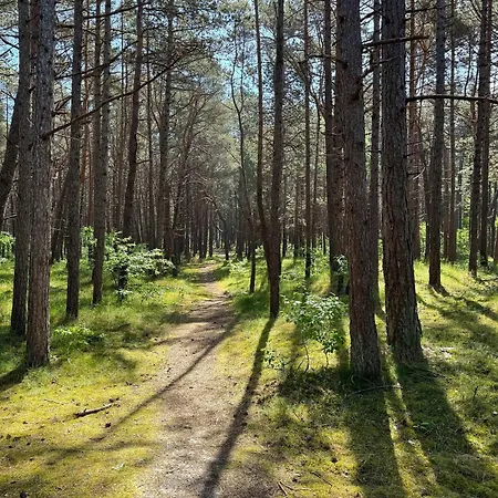 Rentplanet - Shellter