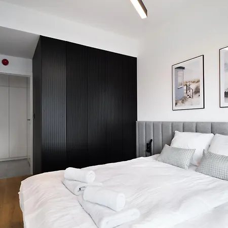 Rentplanet - Shellter *