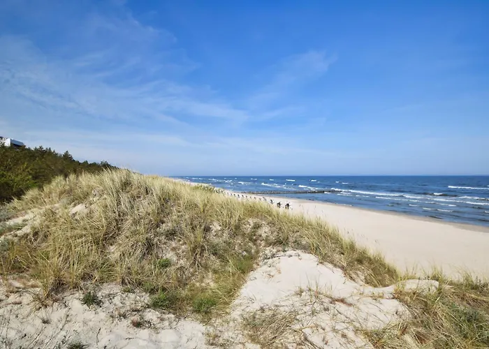 Lägenhet Rentplanet - Shellter *