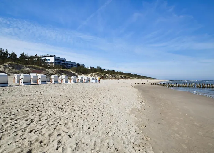 Rentplanet - Shellter