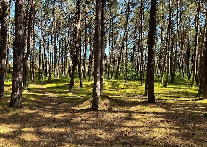 Apartamento Rentplanet - Shellter *