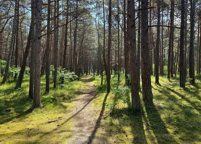 Rentplanet - Shellter