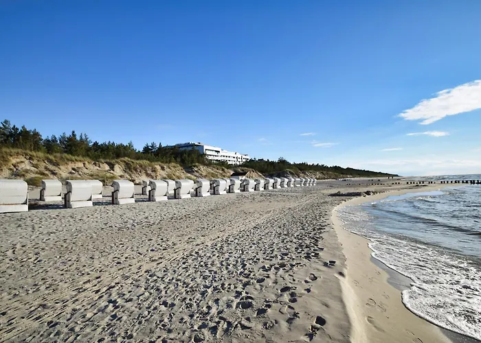 Rentplanet - Shellter Apartamento *