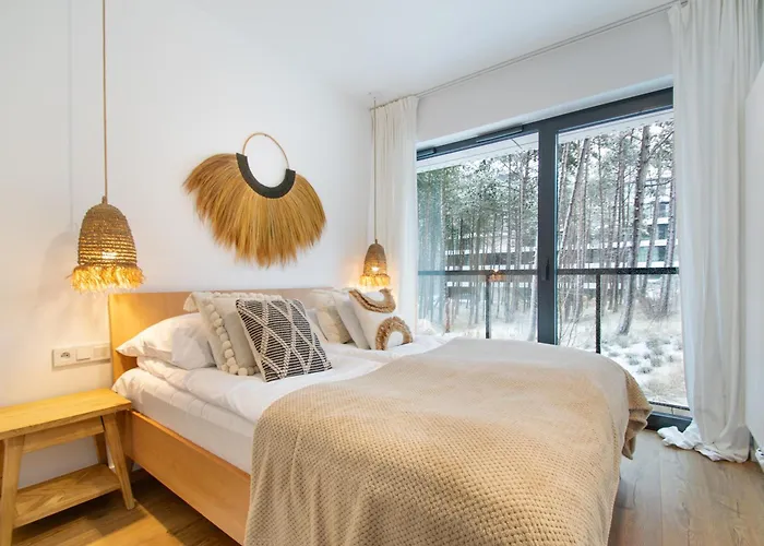 Rentplanet - Shellter *